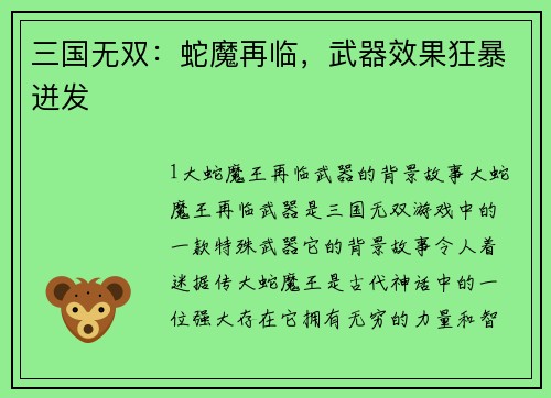 三国无双：蛇魔再临，武器效果狂暴迸发